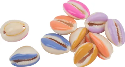Produktbild von Muschelperlen mit 2 Bohrungen, 10 Stück