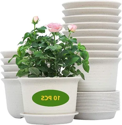 Image de Pot de fleurs en plastique 15 cm, lot de 10, blanc-gris
