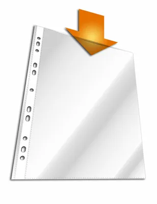 Image de DURABLE Pochettes perforées transparentes BUSINESS A4 PP sachet de 100, 100 pc, Transparent, 267219