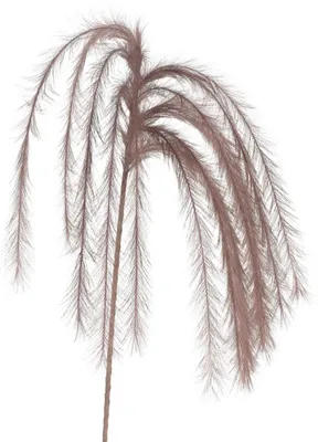 Obrázek produktu pro Umělé dekorativní peří Feather 130cm, šedohnědá
