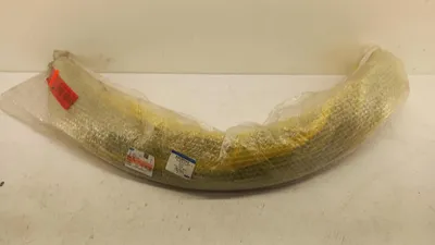 Produktbild von Original OE FORD Kotflügel Zierleiste 2544303