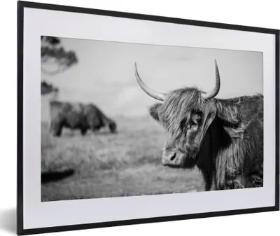 Produktbild von MuchoWow® Gerahmtes Poster Schottischer Highlander - Tiere - Schwarz - Weiß 60x40 cm - Poster mit Schwarzem Bilderrahmen Wandposter Rahmen Foto Bilder - Schlafzimmer - Plakat in Rahmen - Drucken