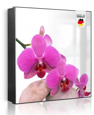 Produktbild von banjado Schlüsselkasten aus Metall, 30x30cm groß mit 32 Haken, als Magnettafel nutzbar, Korpus schwarz, Anschlag rechts, Orchidee [SKG1 10086]