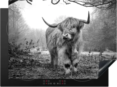 Produktbild von KitchenYeah© Herdabdeckplatte Schottischer Highlander - Wald - Nebel - Kuh - Tiere - Natur , 71x52cm, Küche Deko, Glaskeramikkochfeld Herdabdeckung, Abdeckplatte fùr Kochfeld