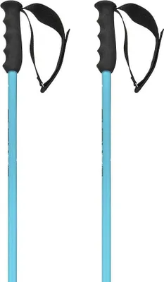 Immagine prodotto di Bastoncini da sci HEAD WORLDCUP SL speed/blu 2025/26 115cm