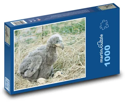 Obrázok produktu pre Puzzle 1000 Orol bielohlavý - mláďa - martinpuzzle