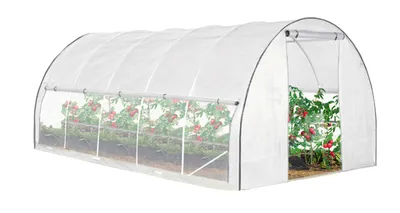 A white greenhouse tunnel with plants inside.