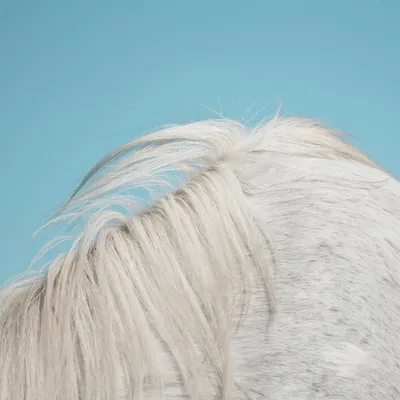 Produktbild von Widowspeak-All Yours