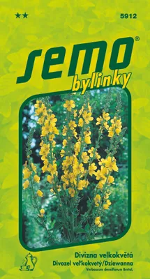 Obrázok produktu pre DIVOZEL veľkokvetý