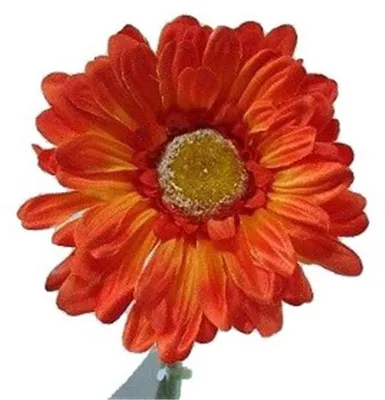 6 künstliche Gerbera mit Big Bloom, orange, 54 cm