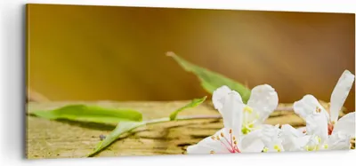 Produktbild von Bild auf Leinwand - Leinwandbild - Asien spa bambus blume - 100x40cm - Wand Bild - Wanddeko - Leinwanddruck - Bilder - Kunstdruck - Wanddekoration - Leinwand bilder - Wandkunst - AB100x40-2499