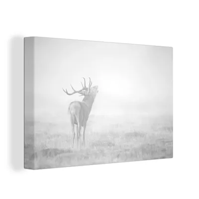 Obrázek produktu pro OneMillionCanvasses® Malba na plátně Nástěnná malba na plátně - Řvoucí jelen v mlze - černobíle - 150x100cm