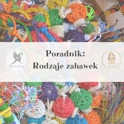 Zdjęcie produktu dla Poradnik ParrotPlanet - RODZAJE ZABAWEK DLA PAPUG- Poradnik Początkującego  Papuziarza