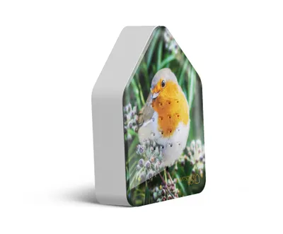 Image de Boîte à gazouillis Robin Redbreast rouge-gorge Limited Edition Gazouillis d'oiseaux Détecteur de mouvement