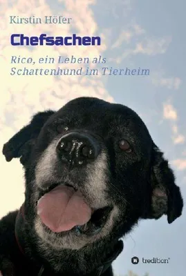 Produktbild von Chefsachen
