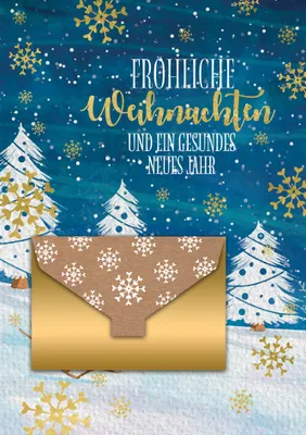 Produktbild von CACTUS Geldschein-Weihnachtskarte "Winterlandschaft"