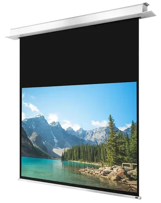 Produktbild von Celexon 1000000888, Motorisiert, 187 cm, 30 cm, 16:10, Schwarz, Weiß