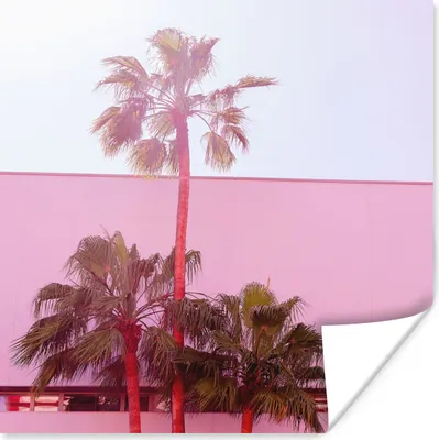 Produktbild von MuchoWow® Poster Palme - Garten Poster - Rosa 50x50 cm - Wohnzimmerdekoration