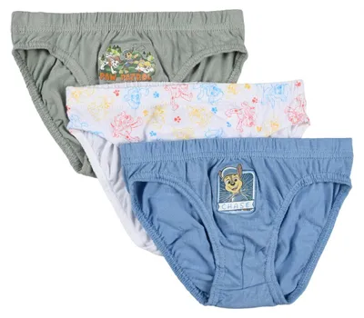 Produktbild von Nickelodeon Universe Paw Patrol Slips, für Jungen, 3 Stück, blau, 5-6 Jahre