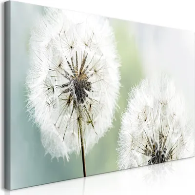 Produktbild von Wandbild Mega XXXL Pusteblume 250x125 cm Einteiliger XXL-Format Kunstdruck zur Selbstmontage Leinwandbilder moderne Bilder DIY Wanddekoration Wohnung Deko Blumen Natur b-B-0223-ak-g