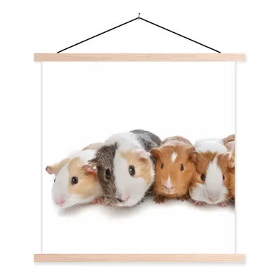 Produktbild von MuchoWow® Textilposter Fünf Meerschweinchen 40x40 cm mit holzfarbenen Rahmen - Posterleiste