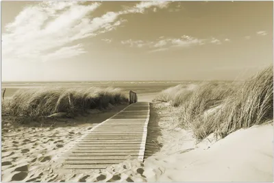 Produktbild von Wallario Wandbild Auf dem Holzweg zum Strand in Sepiafarben, Größe: 61 x 91,5 cm, Poster mit rahmenlosen Bildhalter