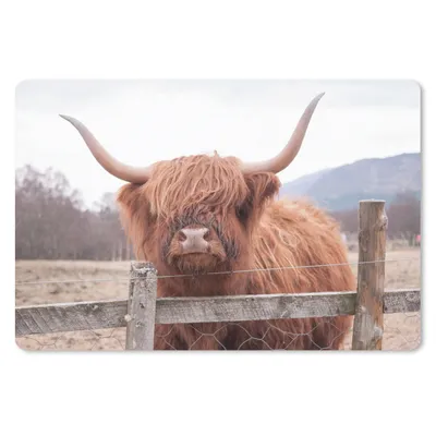Produktbild von MuchoWow® Schreibtischunterlage Scottish Highlander - Gras - Zaun 60x40 cm - XXL Mauspad - Großes Mauspad
