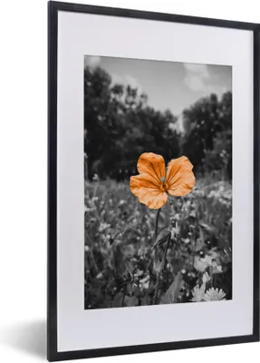 Produktbild von MuchoWow® MuchoWow® Gerahmtes Poster Blumen - Schwarz - Weiß - Orange 40x60 cm - Poster mit zchwarzem Bilderrahmen - Poster in Rahmen