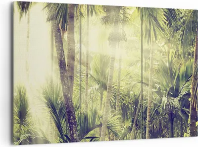Produktbild von Bild auf Leinwand - Leinwandbild - 3 Teile - Morgendämmerung Dschungel Palmen - 165x110cm - Wand Bild - Wanddeko - Wandbilder - Leinwanddruck - Bilder - Wanddekoration - Leinwand bilder CE165x110-4450