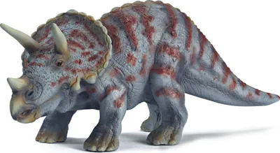 Image de Triceratops