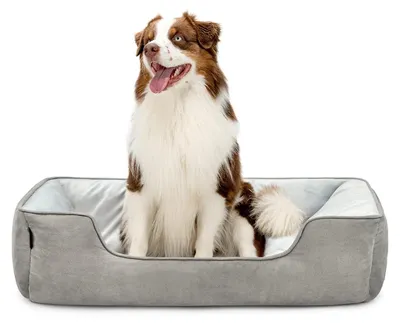 Image de lionto, panier 2-en-1 pour chiens, 110x80 cm - Réversible et confortable pour chiens et chats