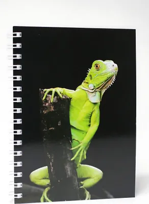Produktbild von ADINA Premium Collegeblock "Leguan" A5 dotted (gepunktet) 80 Blatt
