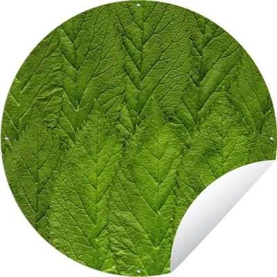 Produktbild von MuchoWow®