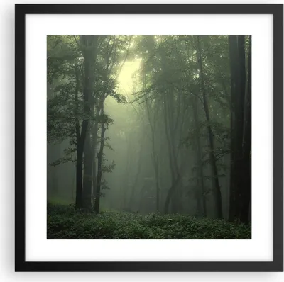 Produktbild von Gerahmtes Poster - Schwarzer Rahmen - Wald Nebel Baum - 40x40 cm - Wand Bild - Wanddeko - Wandbilder - Kunstposter - Wandposter - Bilderrahmen - Bilder - Kunstdruck - Wandbild - P2BAC40x40-3543