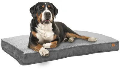 Produktbild von Hundebett Hundekorb Hundekissen 120 x 78 cm Waschbar & Rutschfest Happy Dreams XL Grau ib style®