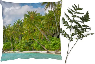 Produktbild von MuchoWow® Zierkissen Sofakissen Wohnzimmer Dekokissen 40x40 cm Palme - Meer - Tropisch - Foto Kissen - Schlafzimmer Dekoration
