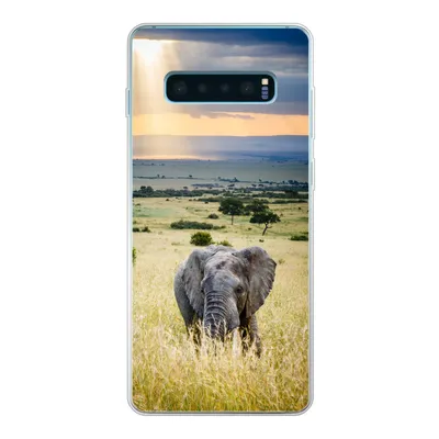 Produktbild von MuchoWow® Handyhülle Schutzhülle Hülle für Samsung Galaxy S10 Lite Elefant - Tiere - Landschaft - Sonne - Natur Silikon Softcase Handy Hülle - Schutz