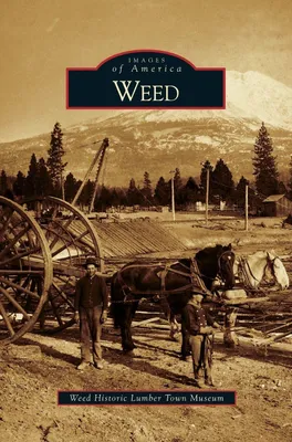 Produktbild von Weed