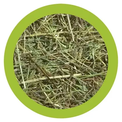 Productafbeelding van Paglianatura, natuurlijk hooi voor konijnen en knaagdieren, 1,3 kg