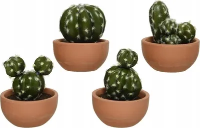 Produktbild von Kunstpflanze im Topf Kaktus 10,5cm 801321
