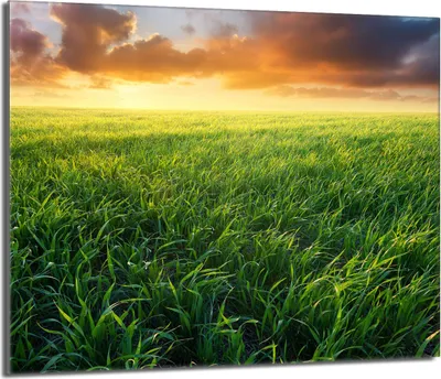 Produktbild von Herdabdeckplatte 60x52 Glaskeramikkochfeld Abdeckung Spritzschutz Glasplatte Deko Schneidebrett, Landschaft Dorf