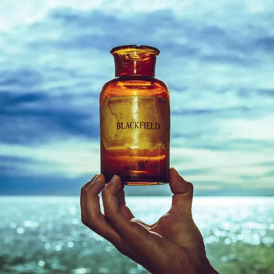 Blackfield - V (Vinyl-LP, Import, Rock)