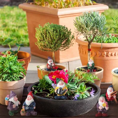 Produktbild von Lustige Gartenzwerge Figuren für den Außenbereich 7er Set Gartenzwerge Wetterfeste Gartenfiguren Gartendeko Gartenzwerge Figuren Garten Herbstdeko