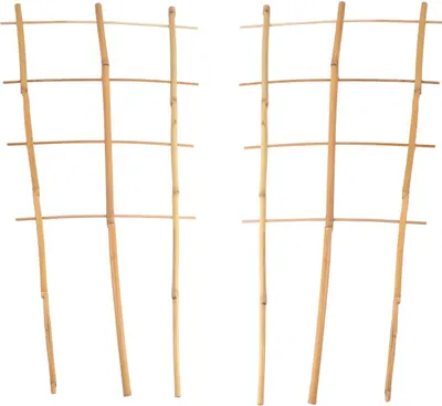 Image de BURI 2X palissade en bambou 60cm support pour fleurs treillis aide à l'escalade spalier