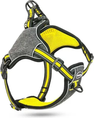Image de Collier pour petits chiens - Collier réfléchissant - Laisse pour petits chiens - Laisse d'entraînement