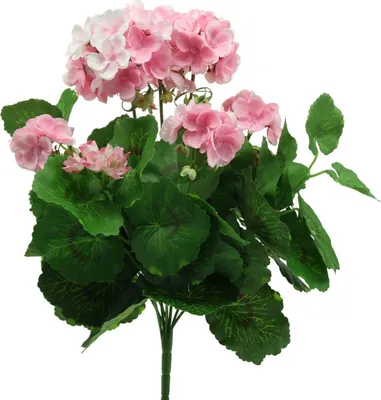 Produktbild von Geranie Kunstblume Rosa Geranienbusch künstlich 7 Blüten Dekoration 38cm