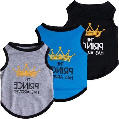 Produktbild von Hundekleidung-Set mit Prinzessin-Druck, 3-teilig, für kleine Hunde