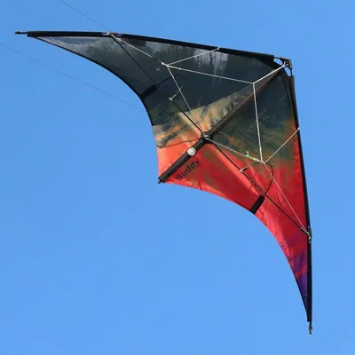 Productafbeelding van Lenkdrachen Spiderkites Buddy 2025, rood - zwart, artikelnummer 020081, kleur: rood, afmetingen: 123 x 55 cm