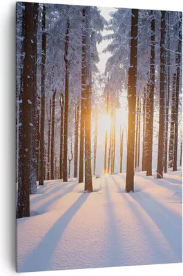 Produktbild von Bild auf Leinwand - Leinwandbild - Einteilig - Wald Winter Schnee - 70x100cm - Wand Bild - Wanddeko - Wandbilder - Leinwanddruck - Wanddekoration - Leinwand bilder - Wandbild - PA70x100-3629