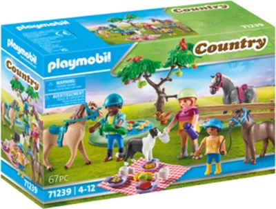 Produktbild von PLAYMOBIL Country 71239 Picknickausflug mit Pferden